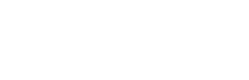 Universal Investigation Services Logo